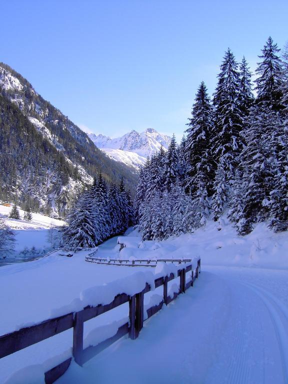 Hotel Wiese Sankt Leonhard im Pitztal Exterior foto